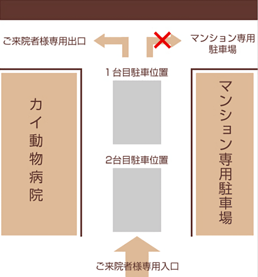 専用入口から入り、お帰りの際はそのまま奥へ進み、 左側へ出てください。